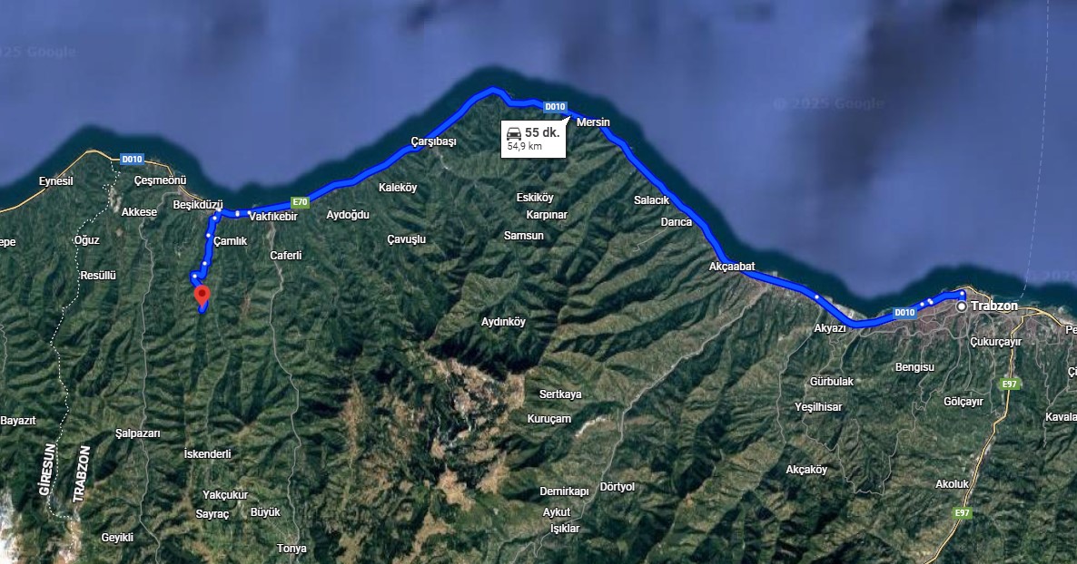 TRABZON BEŞİKDÜZÜ HÜNERLİ KÖYÜNDE 8.449.M²  FINDIK BAHÇEMİZ SATILIKTIR. - TRABZON BEŞİKDÜZÜ fotoğraf 5